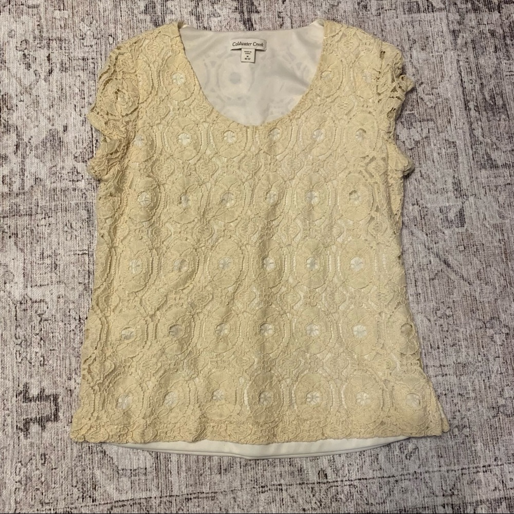 Lace Scoop Neck Short Sleeve Top